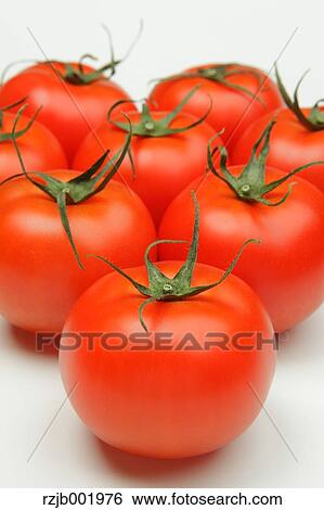 Tomatoes View Large Photo Image Stock Photograph - Tomatoes. Fotosearch