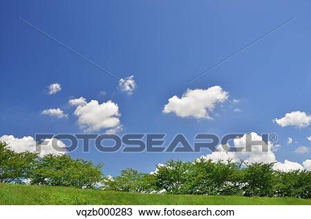Trees and sky View Large Photo Image Stock Image - Trees and sky. Fotosearch