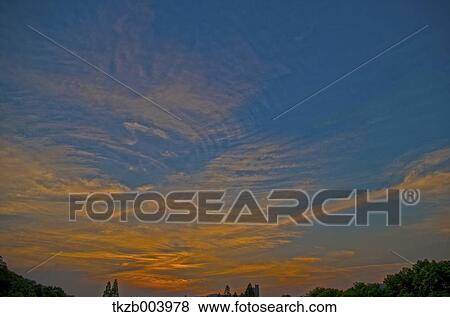 Trees and sky View Large Photo Image Stock Photo - Trees and sky. Fotosearch