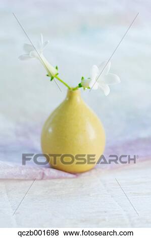 Vased flowers View Large Photo Image Stock Photo - Vased flowers. Fotosearch