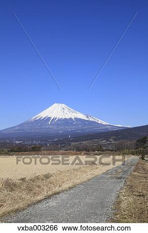 View of Mount Fuji, Shizuoka Prefecture, Japan View Large Photo Image Stock Photograph - View of Mount Fuji, Shizuoka Prefecture, Japan. Fotosearch