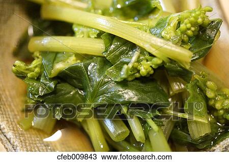Wasabi Greens View Large Photo Image Stock Image - Wasabi Greens. Fotosearch
