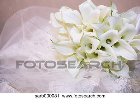Wedding bouquet View Large Photo Image Stock Image - Wedding bouquet. Fotosearch