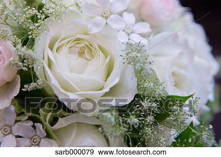 Wedding bouquet View Large Photo Image Stock Photo - Wedding bouquet. Fotosearch
