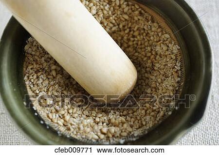 White sesame View Large Photo Image Stock Image - White sesame. Fotosearch
