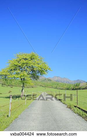 Yamanashi Prefecture, Japan View Large Photo Image Picture - Yamanashi Prefecture, Japan. Fotosearch