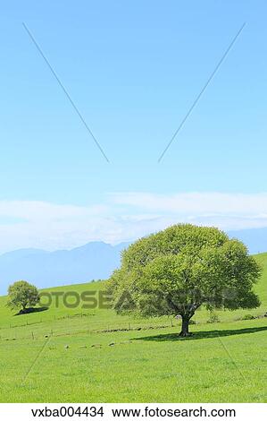 Picture - Yamanashi Prefecture, Japan. Fotosearch