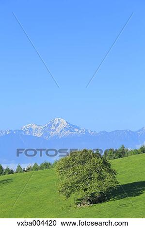 Yamanashi Prefecture, Japan View Large Photo Image Stock Image - Yamanashi Prefecture, Japan. Fotosearch
