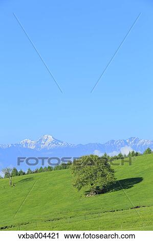 Stock Image - Yamanashi Prefecture, Japan. Fotosearch