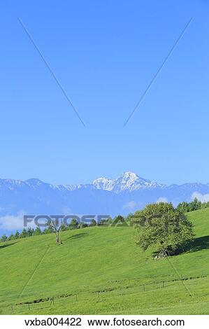 Yamanashi Prefecture, Japan View Large Photo Image Stock Image - Yamanashi Prefecture, Japan. Fotosearch