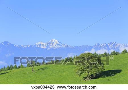 Yamanashi Prefecture, Japan View Large Photo Image Stock Image - Yamanashi Prefecture, Japan. Fotosearch