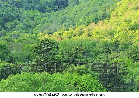 Yamanashi Prefecture, Japan View Large Photo Image Stock Image - Yamanashi Prefecture, Japan. Fotosearch