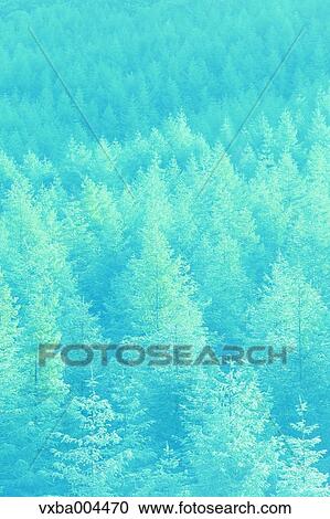 Yamanashi Prefecture, Japan View Large Photo Image Stock Image - Yamanashi Prefecture, Japan. Fotosearch