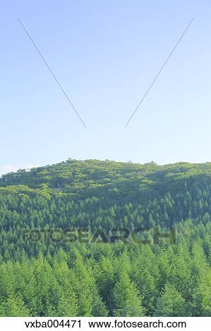 Yamanashi Prefecture, Japan View Large Photo Image Stock Image - Yamanashi Prefecture, Japan. Fotosearch