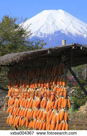 Yamanashi Prefecture, Japan View Large Photo Image Stock Photo - Yamanashi Prefecture, Japan. Fotosearch