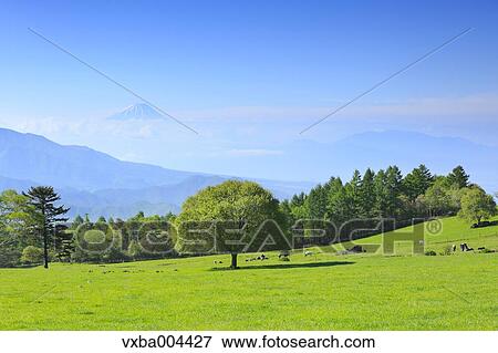 Yamanashi Prefecture, Japan View Large Photo Image Stock Photo - Yamanashi Prefecture, Japan. Fotosearch