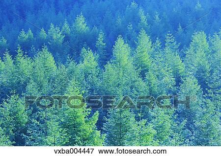 Yamanashi Prefecture, Japan View Large Photo Image Stock Photo - Yamanashi Prefecture, Japan. Fotosearch