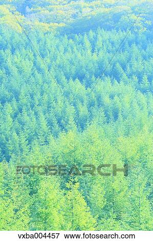 Yamanashi Prefecture, Japan View Large Photo Image Stock Photo - Yamanashi Prefecture, Japan. Fotosearch