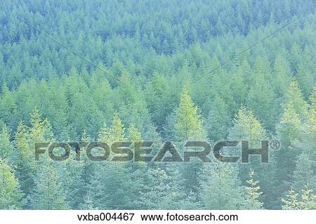 Yamanashi Prefecture, Japan View Large Photo Image Stock Photo - Yamanashi Prefecture, Japan. Fotosearch