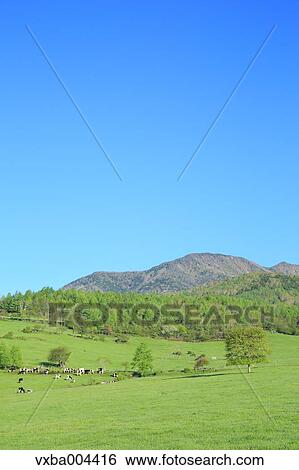 Yamanashi Prefecture, Japan View Large Photo Image Stock Photograph - Yamanashi Prefecture, Japan. Fotosearch