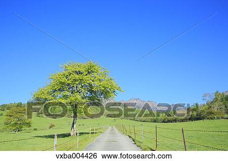 Stock Photograph - Yamanashi Prefecture, Japan. Fotosearch