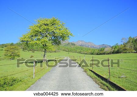 Yamanashi Prefecture, Japan View Large Photo Image Stock Photography - Yamanashi Prefecture, Japan. Fotosearch