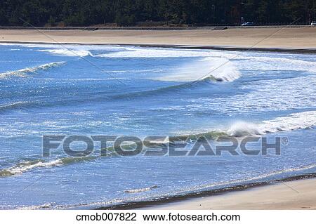 Yumigahama Beach, Shizuoka Prefecture, Japan View Large Photo Image Stock Image - Yumigahama Beach, Shizuoka Prefecture, Japan. Fotosearch