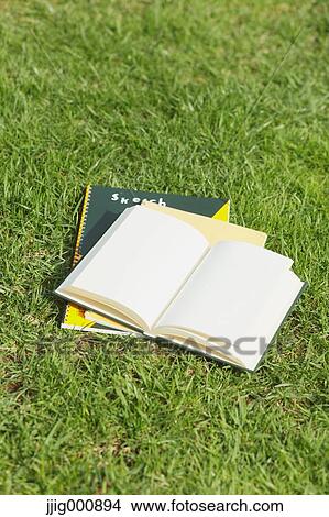 Book and notebooks on grass View Large Photo Image Picture - Book and notebooks on grass. Fotosearch