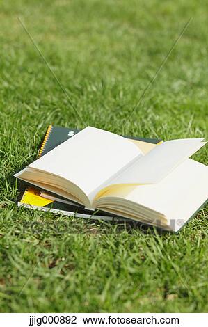 Book and notebooks on grass View Large Photo Image Stock Image - Book and notebooks on grass. Fotosearch