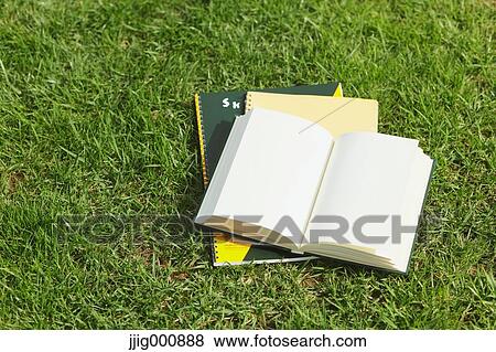 Book and notebooks on grass View Large Photo Image Stock Photo - Book and notebooks on grass. Fotosearch