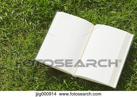 Picture - Book on grass. Fotosearch