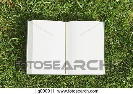 Book on grass View Large Photo Image Stock Image - Book on grass. Fotosearch