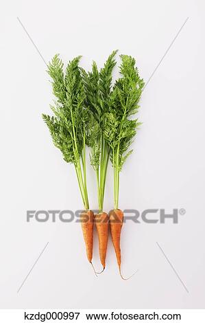 Carrots View Large Photo Image Stock Photo - Carrots. Fotosearch