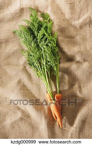 Carrots View Large Photo Image Stock Photo - Carrots. Fotosearch