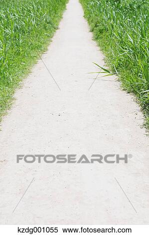Dirt road and grass View Large Photo Image Stock Photography - Dirt road and grass. Fotosearch