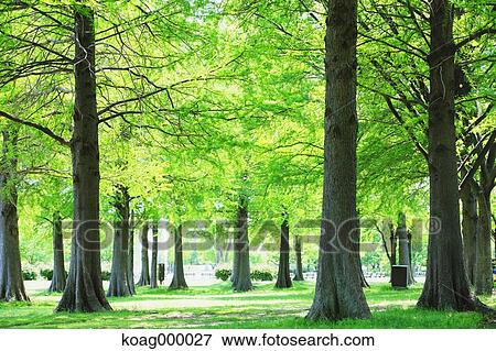 Stock Photo - Fresh green. Fotosearch