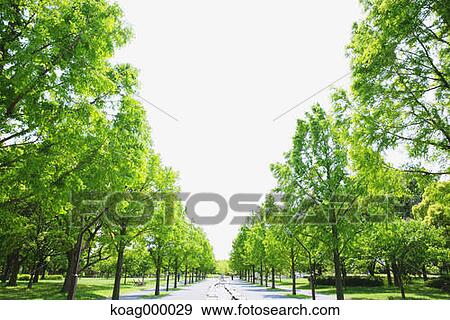 Fresh green View Large Photo Image Stock Photo - Fresh green. Fotosearch