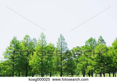 Fresh green View Large Photo Image Stock Photography - Fresh green. Fotosearch