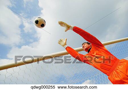 Goalkeeper in orange uniform catching the ball View Large Photo Image Stock Photography - Goalkeeper in orange uniform catching the ball. Fotosearch