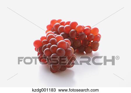 Grapes View Large Photo Image Stock Image - Grapes. Fotosearch