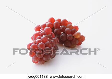 Stock Photo - Grapes. Fotosearch