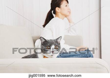 Stock Photography - Japanese young woman in jeans and white shirt with cat on the sofa. Fotosearch