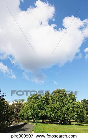Launceston, Australia View Large Photo Image Stock Photo - Launceston, Australia. Fotosearch