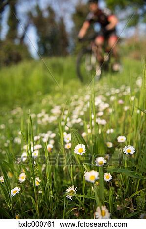 Stock Image - Man riding mountain bike in nature in the Bologna countryside, Italy. Fotosearch