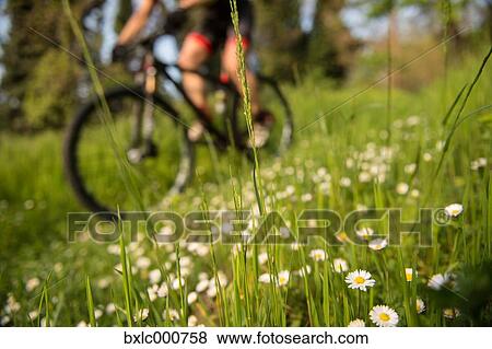 Stock Photo - Man riding mountain bike in nature in the Bologna countryside, Italy. Fotosearch