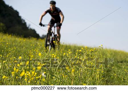 Stock Photo - Man riding mountain bike in nature in the Bologna countryside, Italy. Fotosearch