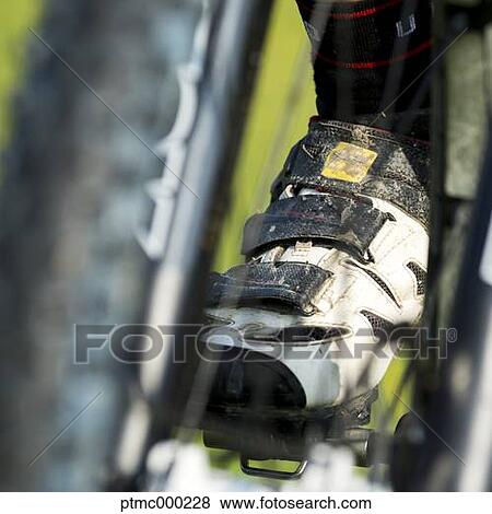 Man riding mountain bike in nature in the Bologna countryside, Italy View Large Photo Image Stock Photo - Man riding mountain bike in nature in the Bologna countryside, Italy. Fotosearch