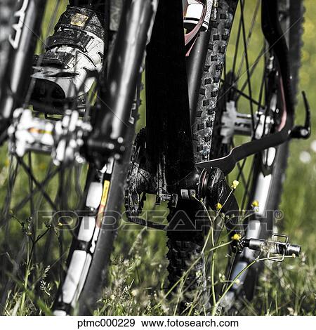 Man riding mountain bike in nature in the Bologna countryside, Italy View Large Photo Image Stock Photo - Man riding mountain bike in nature in the Bologna countryside, Italy. Fotosearch