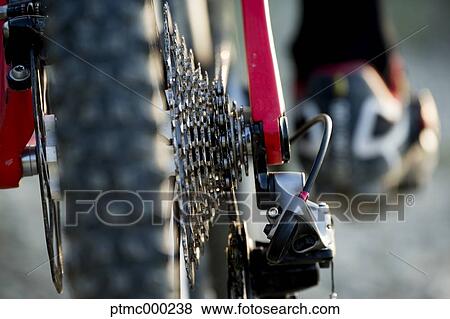 Man riding mountain bike in nature in the Bologna countryside, Italy View Large Photo Image Stock Photo - Man riding mountain bike in nature in the Bologna countryside, Italy. Fotosearch