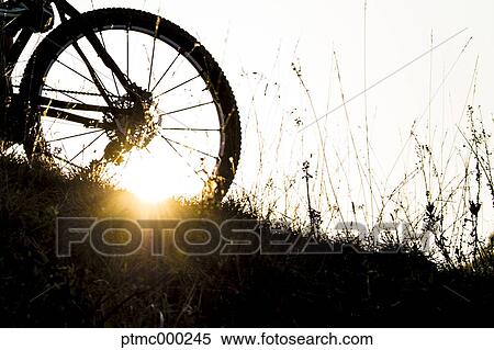 Man riding mountain bike in nature in the Bologna countryside, Italy View Large Photo Image Stock Photography - Man riding mountain bike in nature in the Bologna countryside, Italy. Fotosearch